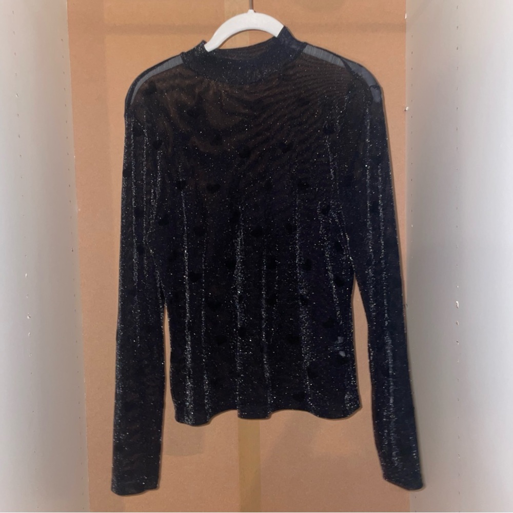 Sheer Black Sparkly Turtle Neck with Velvet Hearts